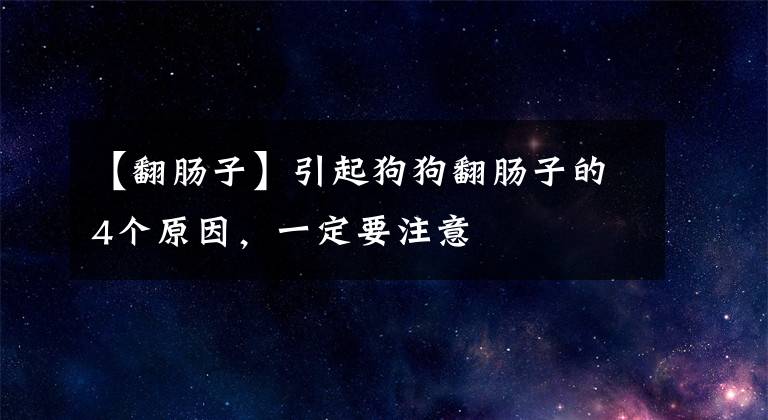 【翻肠子】引起狗狗翻肠子的4个原因，一定要注意