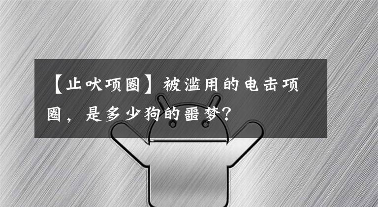 【止吠项圈】被滥用的电击项圈，是多少狗的噩梦？