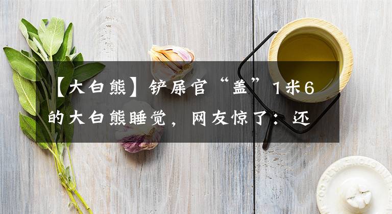 【大白熊】铲屎官“盖”1米6的大白熊睡觉，网友惊了：还能呼吸吗？