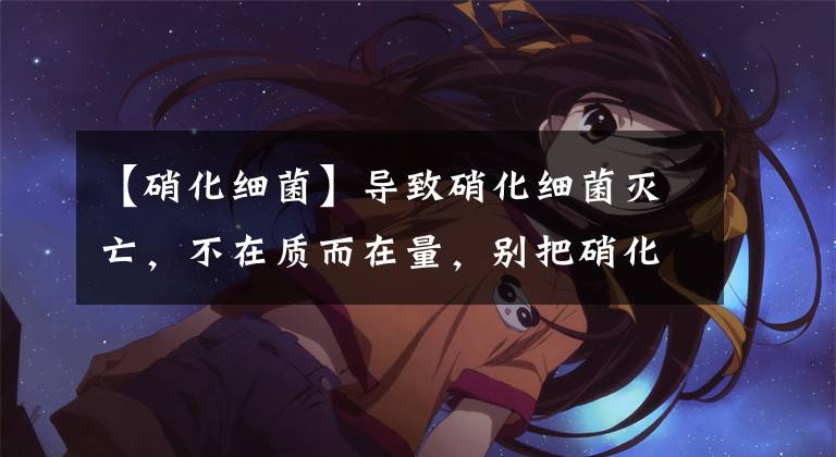 【硝化细菌】导致硝化细菌灭亡，不在质而在量，别把硝化细菌想的那么不堪一击