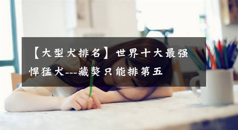 【大型犬排名】世界十大最强悍猛犬---藏獒只能排第五