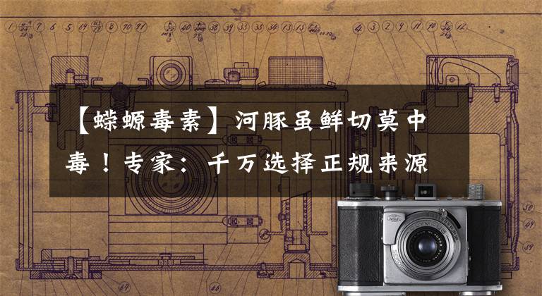 【蝾螈毒素】河豚虽鲜切莫中毒！专家：千万选择正规来源养殖品种，野生毒性强