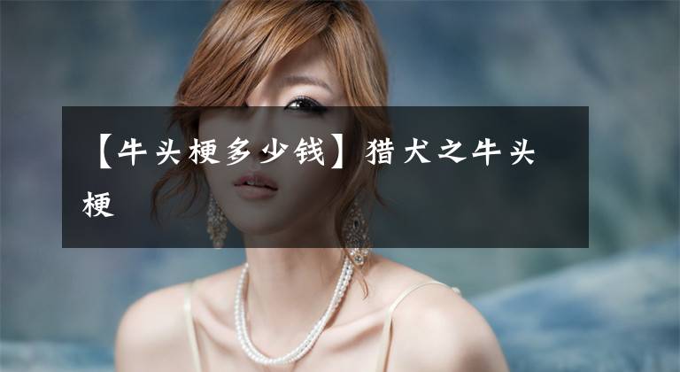 【牛头梗多少钱】猎犬之牛头梗