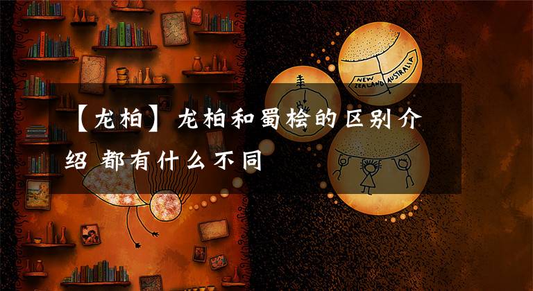 【龙柏】龙柏和蜀桧的区别介绍 都有什么不同