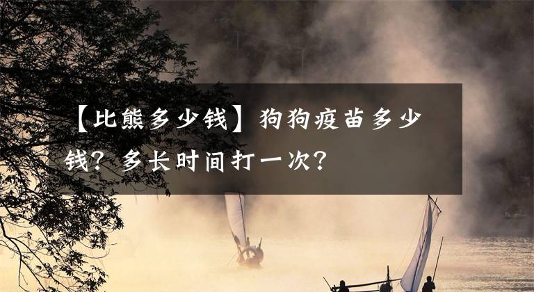 【比熊多少钱】狗狗疫苗多少钱?多长时间打一次?