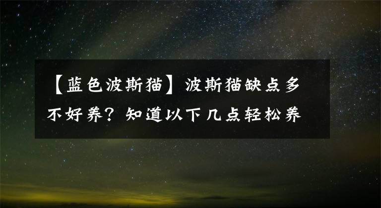 【蓝色波斯猫】波斯猫缺点多不好养？知道以下几点轻松养猫