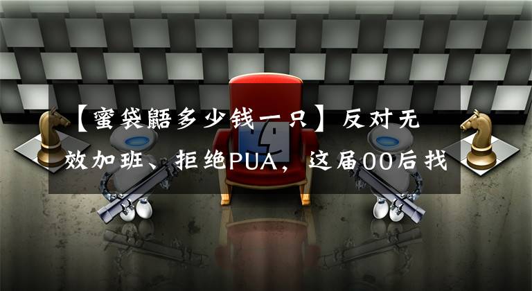【蜜袋鼯多少钱一只】反对无效加班、拒绝PUA,这届00后找工作“挑老板”
