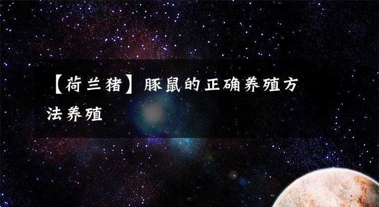 【荷兰猪】豚鼠的正确养殖方法养殖