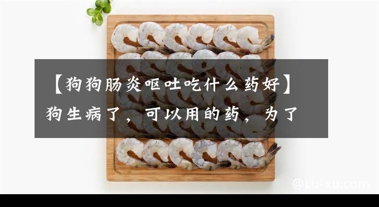 【狗狗肠炎呕吐吃什么药好】狗生病了，可以用的药，为了以防万一，马起来了