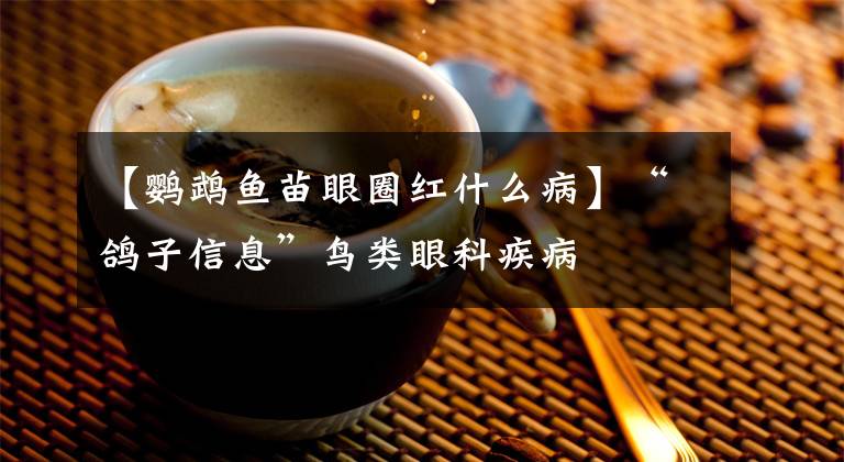 【鹦鹉鱼苗眼圈红什么病】“鸽子信息”鸟类眼科疾病