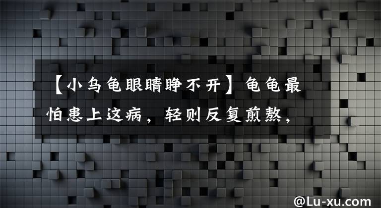 【小乌龟眼睛睁不开】龟龟最怕患上这病，轻则反复煎熬，重则性命不保