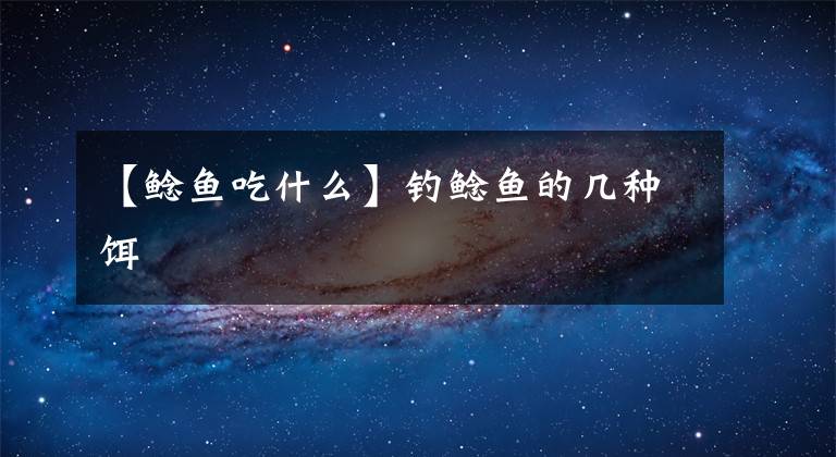 【鲶鱼吃什么】钓鲶鱼的几种饵