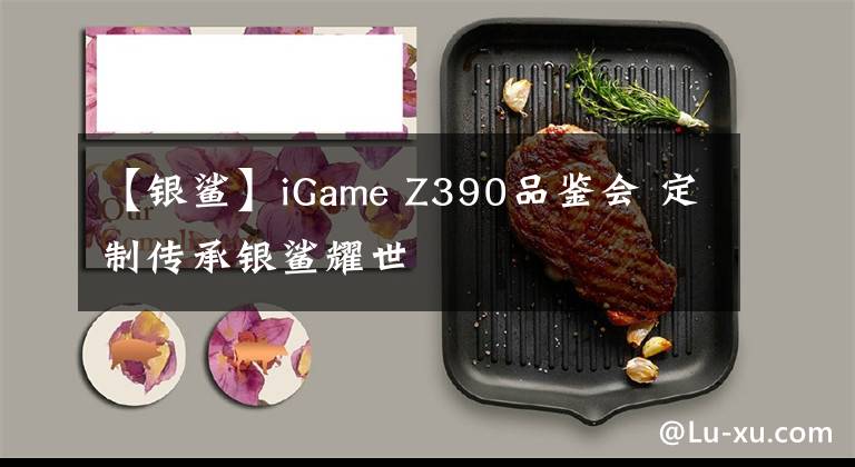 【银鲨】iGame Z390品鉴会 定制传承银鲨耀世