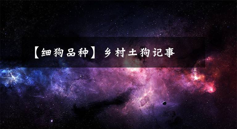 【细狗品种】乡村土狗记事