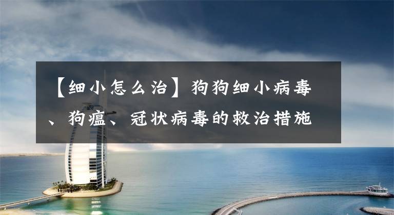 【细小怎么治】狗狗细小病毒、狗瘟、冠状病毒的救治措施