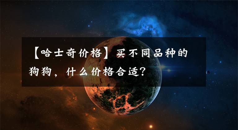 【哈士奇价格】买不同品种的狗狗，什么价格合适？