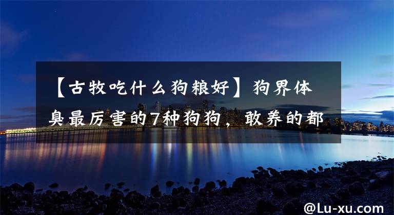 【古牧吃什么狗粮好】狗界体臭最厉害的7种狗狗，敢养的都是勇士