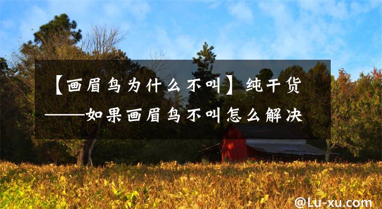 【画眉鸟为什么不叫】纯干货——如果画眉鸟不叫怎么解决？