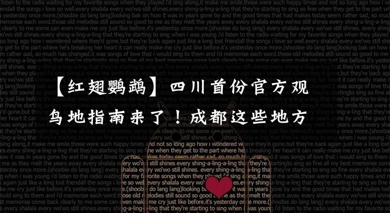 【红翅鹦鹉】四川首份官方观鸟地指南来了！成都这些地方入选十大观鸟胜地