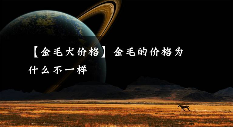 【金毛犬价格】金毛的价格为什么不一样