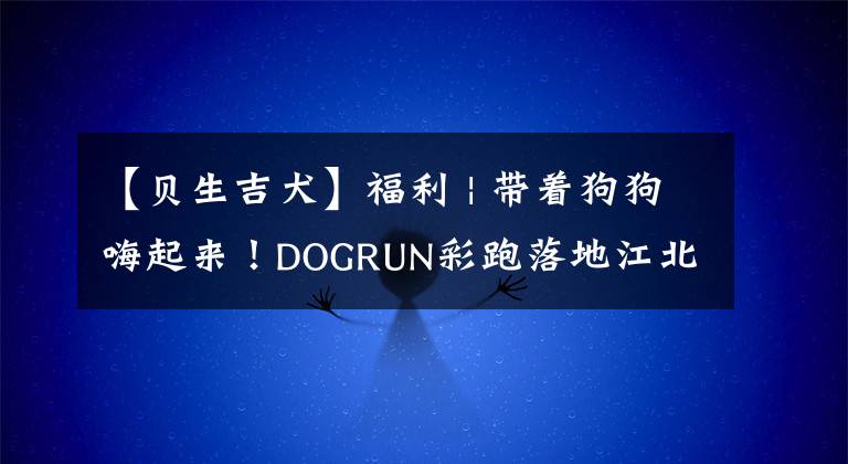 【贝生吉犬】福利 | 带着狗狗嗨起来！DOGRUN彩跑落地江北，万元“锦鲤”等着你~