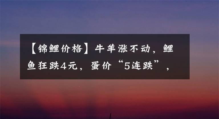 【锦鲤价格】牛羊涨不动，鲤鱼狂跌4元，蛋价“5连跌”，网友为何抱怨吃不起？