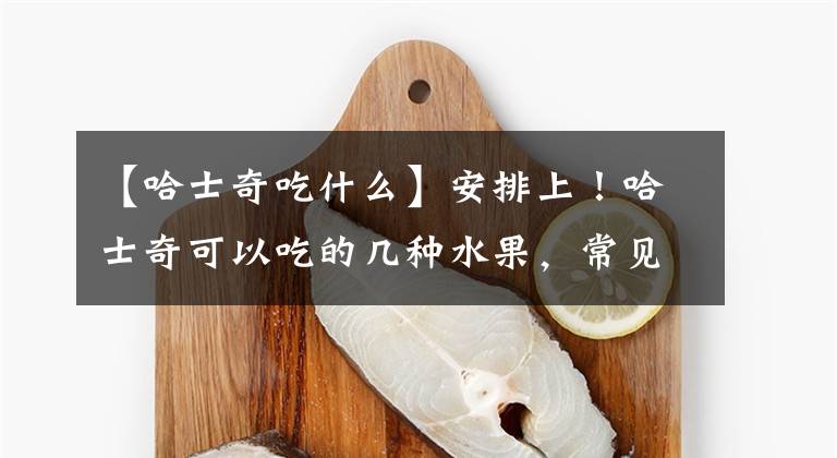 【哈士奇吃什么】安排上！哈士奇可以吃的几种水果，常见又便宜