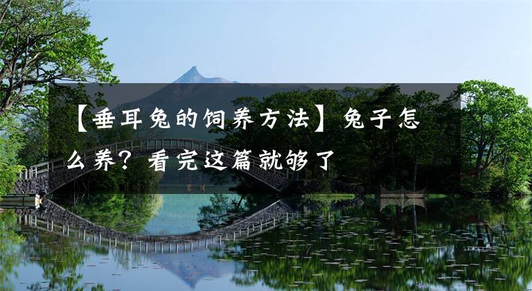 【垂耳兔的饲养方法】兔子怎么养？看完这篇就够了
