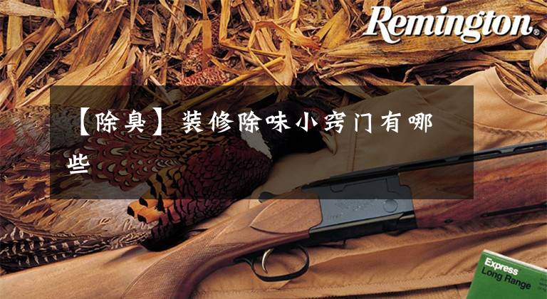 【除臭】装修除味小窍门有哪些