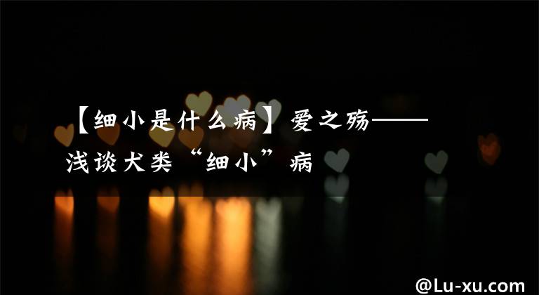 【细小是什么病】爱之殇——浅谈犬类“细小”病