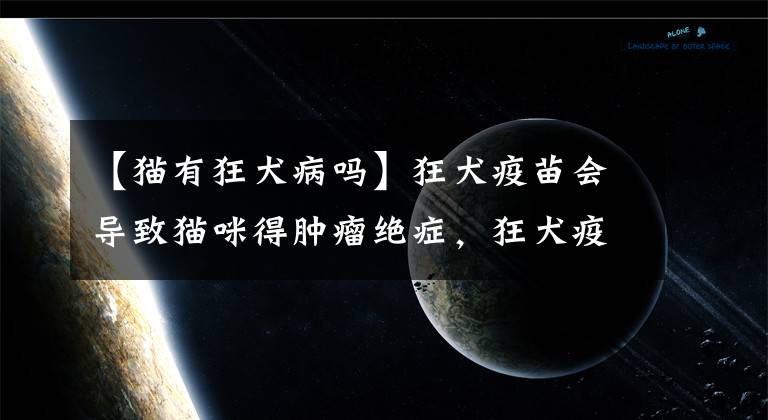 【猫有狂犬病吗】狂犬疫苗会导致猫咪得肿瘤绝症，狂犬疫苗究竟该不该打？