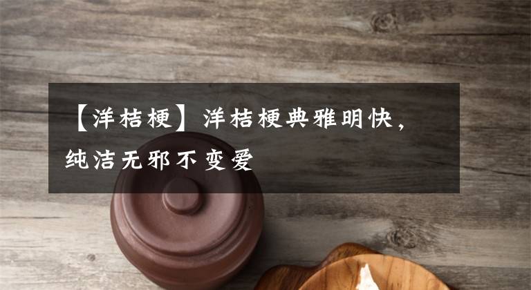 【洋桔梗】洋桔梗典雅明快，纯洁无邪不变爱