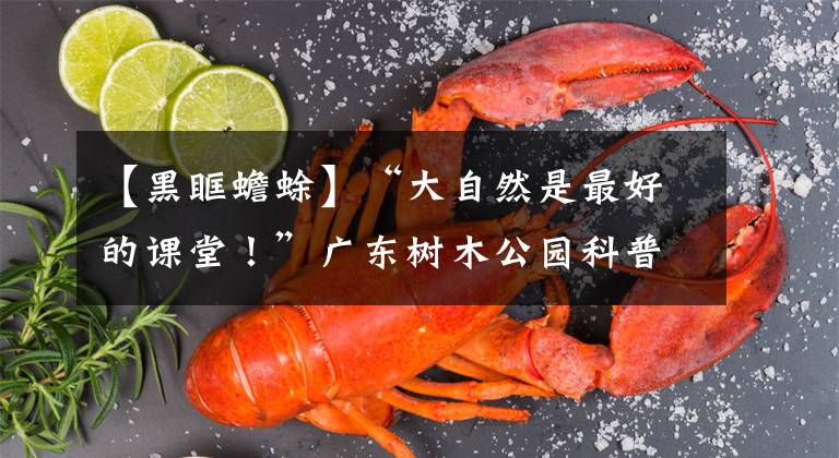 【黑眶蟾蜍】“大自然是最好的课堂!”广东树木公园科普好戏连台