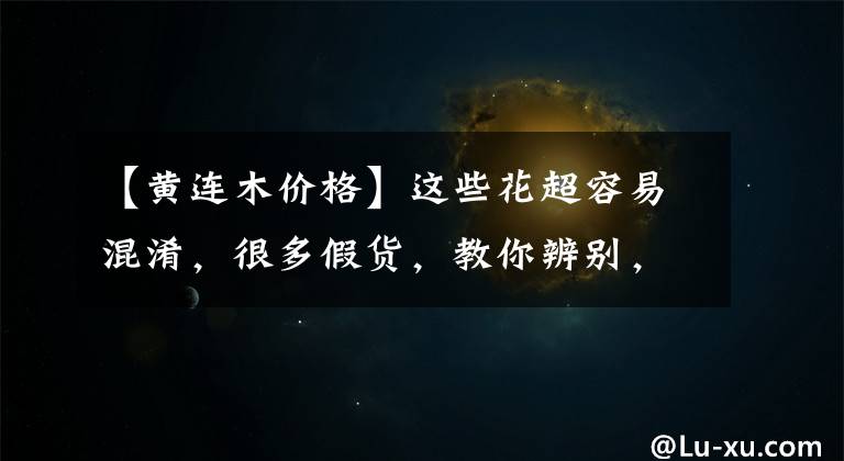 【黄连木价格】这些花超容易混淆,很多假货,教你辨别,千万别上当