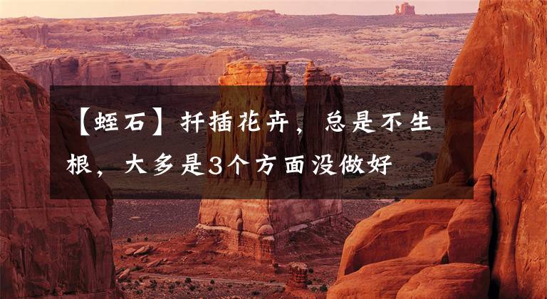 【蛭石】扦插花卉,总是不生根,大多是3个方面没做好