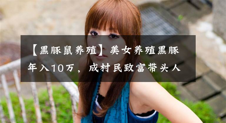 【黑豚鼠养殖】美女养殖黑豚年入10万，成村民致富带头人！