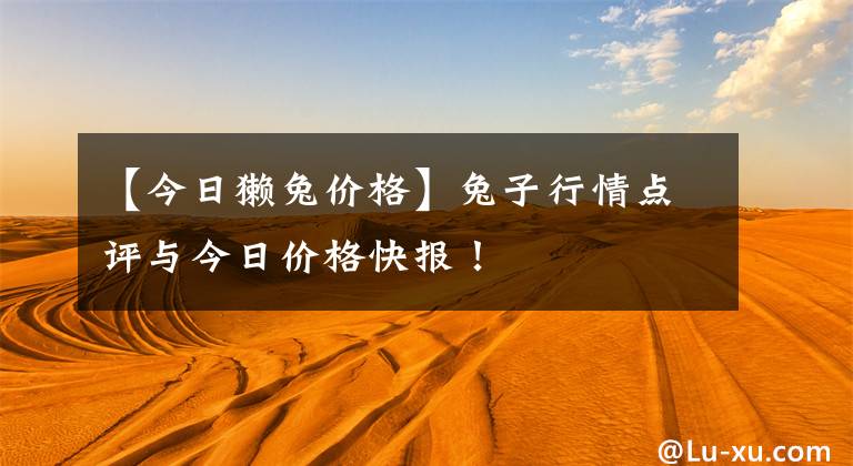 【今日獭兔价格】兔子行情点评与今日价格快报！