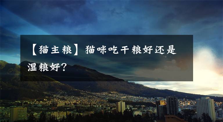 【猫主粮】猫咪吃干粮好还是湿粮好?