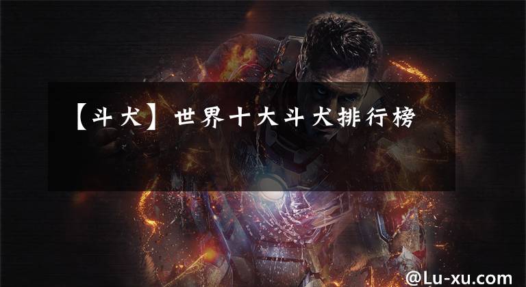 【斗犬】世界十大斗犬排行榜