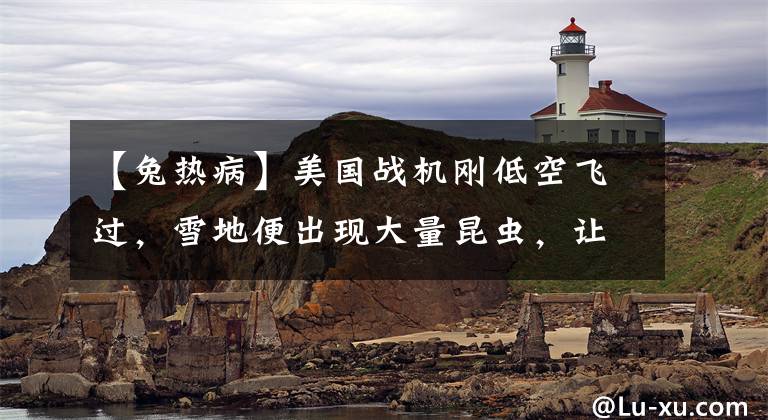 【兔热病】美国战机刚低空飞过,雪地便出现大量昆虫,让志愿军军医十分警惕