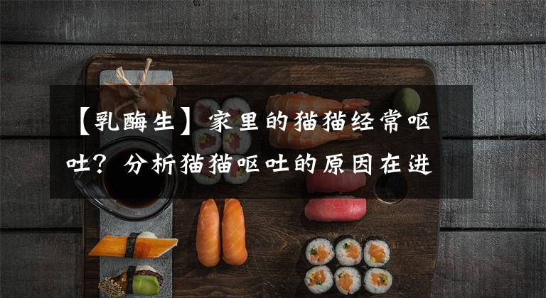 【乳酶生】家里的猫猫经常呕吐?分析猫猫呕吐的原因在进行对症下药?