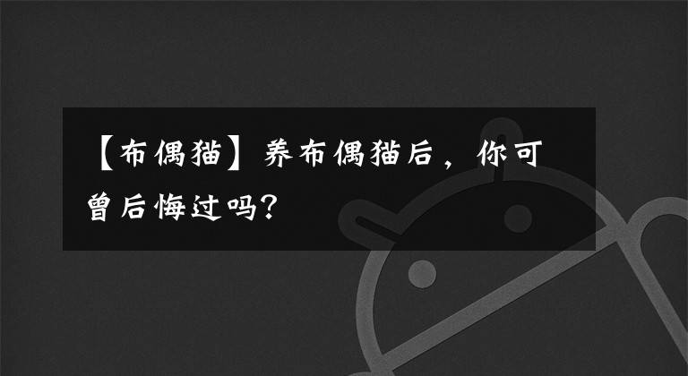 【布偶猫】养布偶猫后，你可曾后悔过吗？