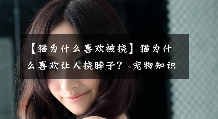 【猫为什么喜欢被挠】猫为什么喜欢让人挠脖子？-宠物知识教室(最好注意收藏。）