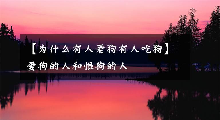 【为什么有人爱狗有人吃狗】爱狗的人和恨狗的人
