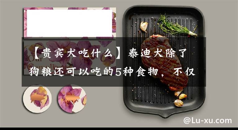 【贵宾犬吃什么】泰迪犬除了狗粮还可以吃的5种食物，不仅健康，还可以美毛！