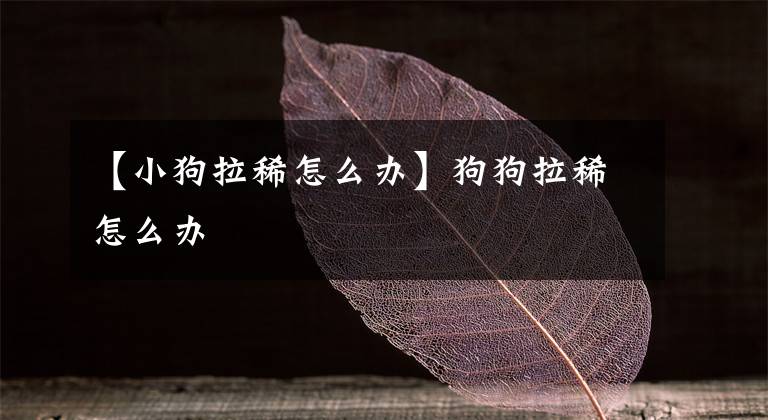 【小狗拉稀怎么办】狗狗拉稀怎么办