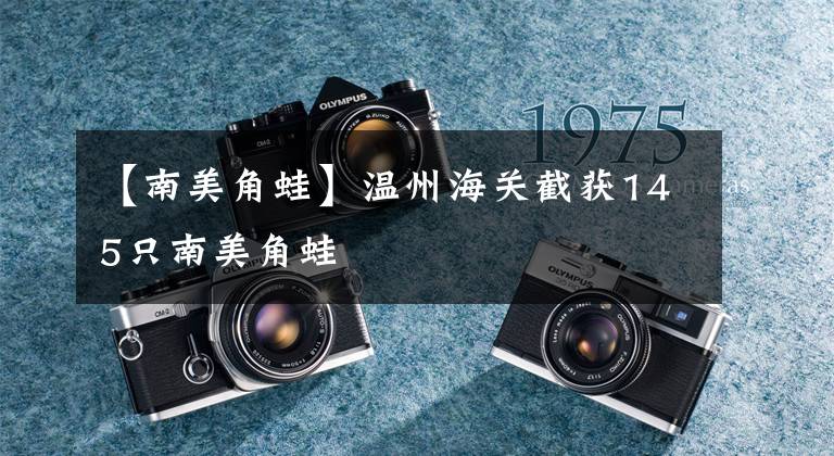 【南美角蛙】温州海关截获145只南美角蛙