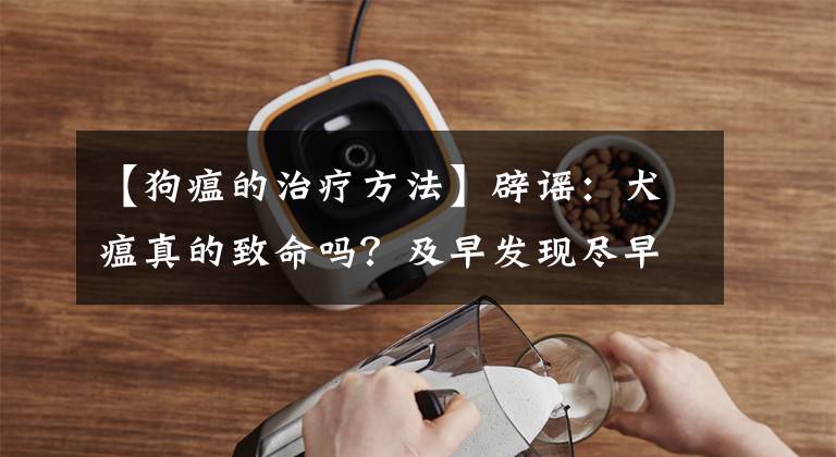 【狗瘟的治疗方法】辟谣:犬瘟真的致命吗?及早发现尽早治疗或许能挽救狗狗的性命