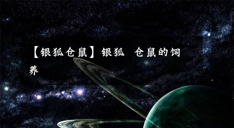 【银狐仓鼠】银狐 仓鼠的饲养