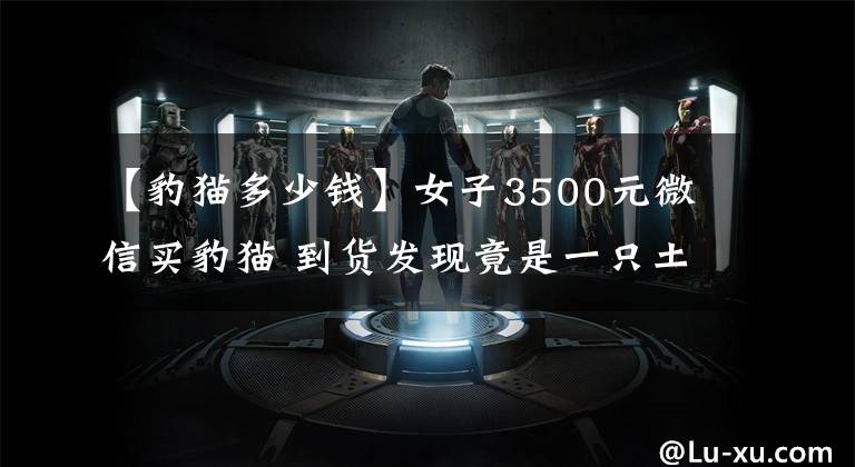 【豹猫多少钱】女子3500元微信买豹猫 到货发现竟是一只土猫